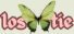 lostie button website