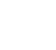 Logo badge only