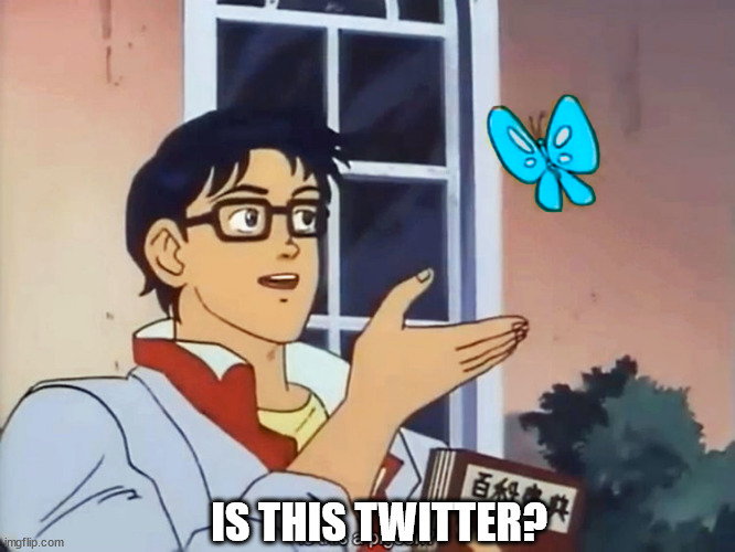 is this twitter meme