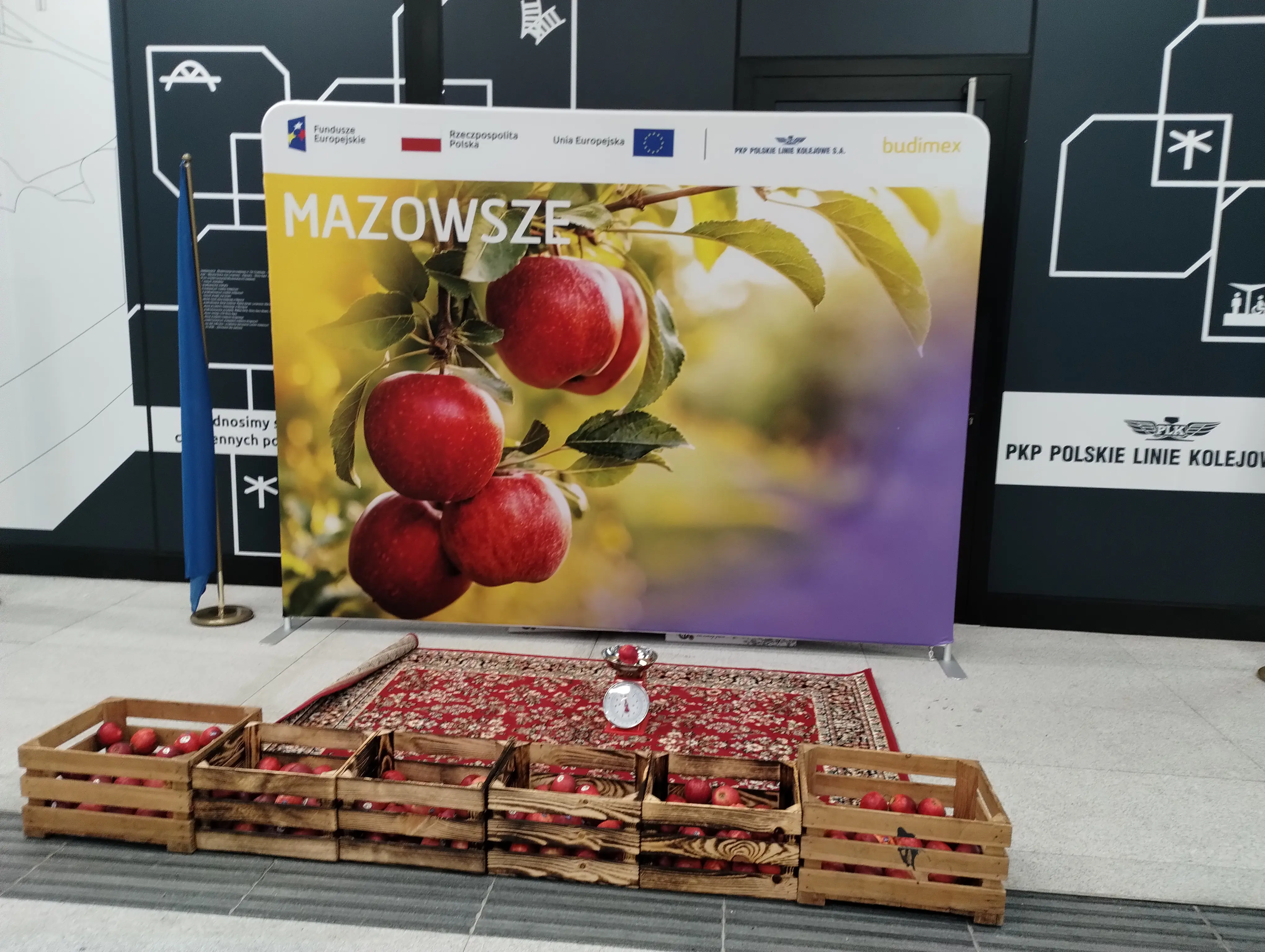 map of the world with polling stations of Poland